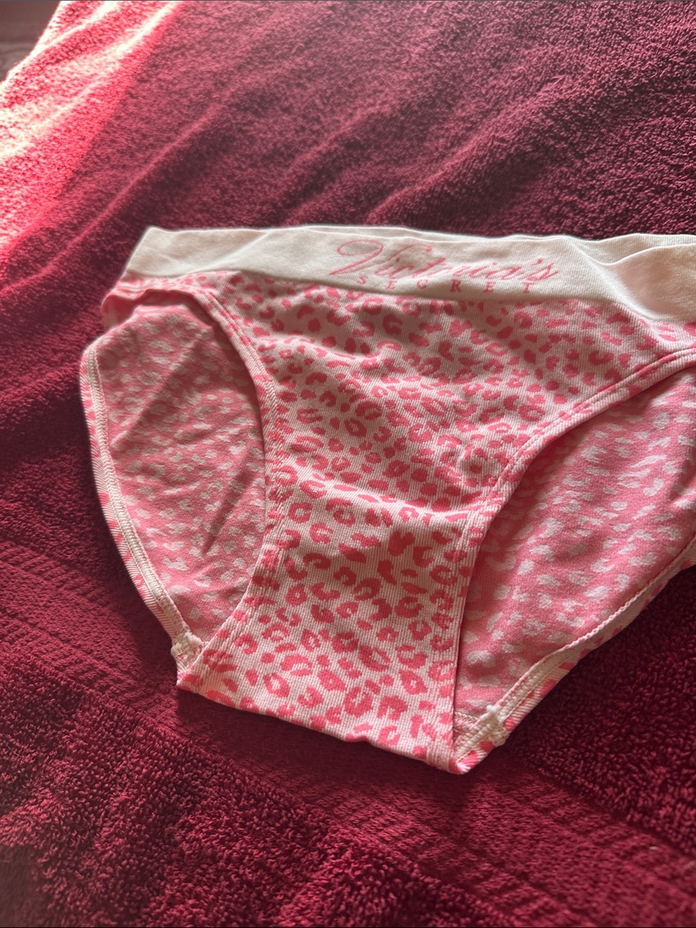 NWOT Victoria's Secret Pink Leopard-Print Girls' Briefs
